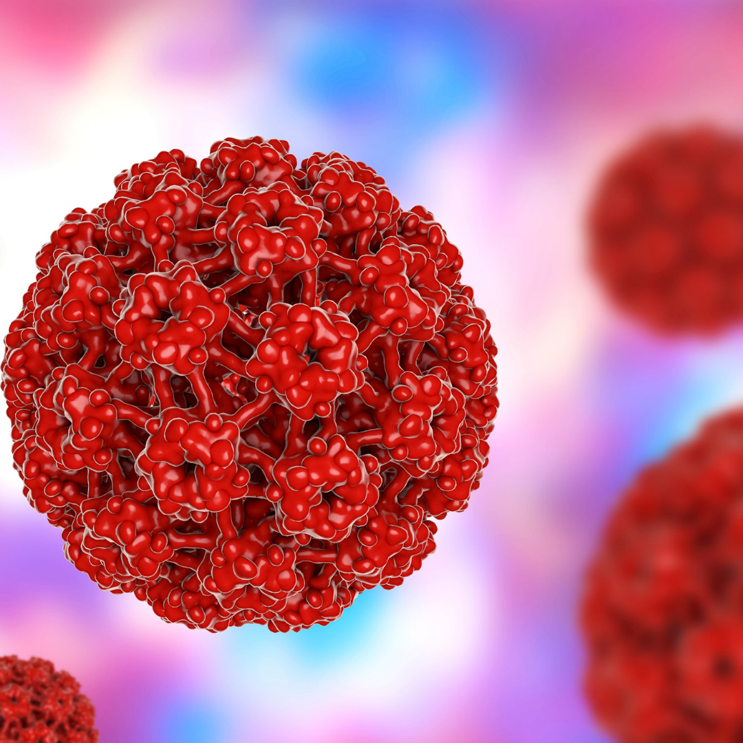 Infertilidade Masculina e HPV: existe relação?